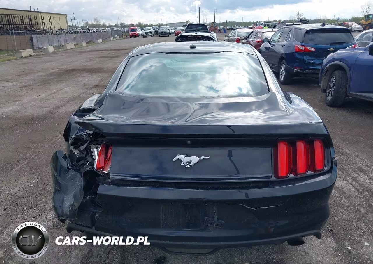 2016 Ford Mustang Ecoboost VIN:1FA6P8TH6G5336101 - 16