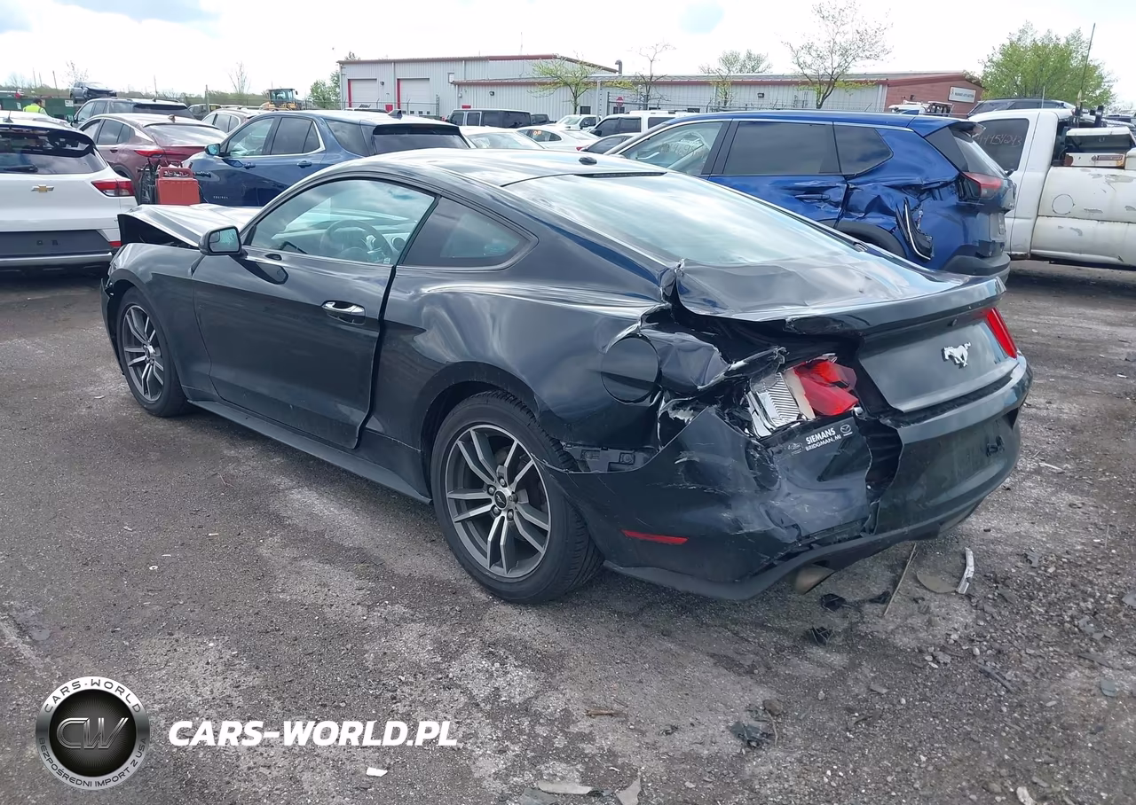 2016 Ford Mustang Ecoboost VIN:1FA6P8TH6G5336101 - 3