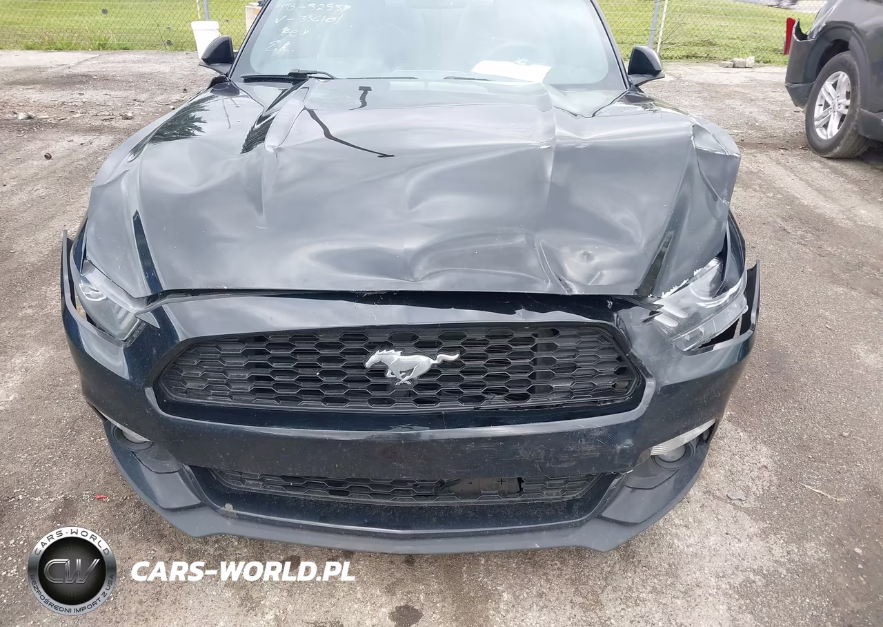 2016 Ford Mustang Ecoboost VIN:1FA6P8TH6G5336101 - 6
