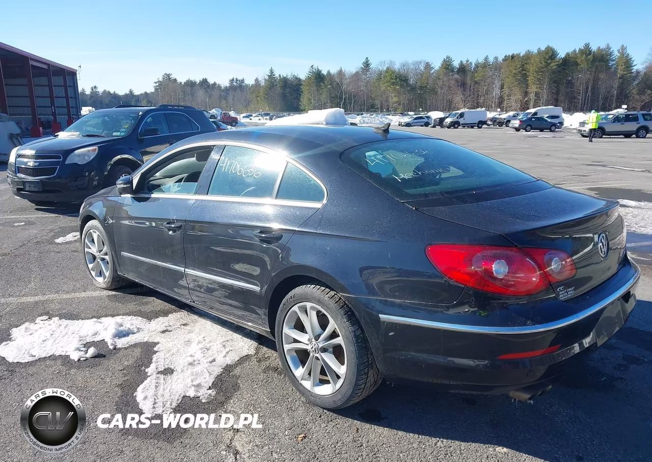 2010 Volkswagen Cc Luxury VIN:WVWHP7AN3AE566529 - 16