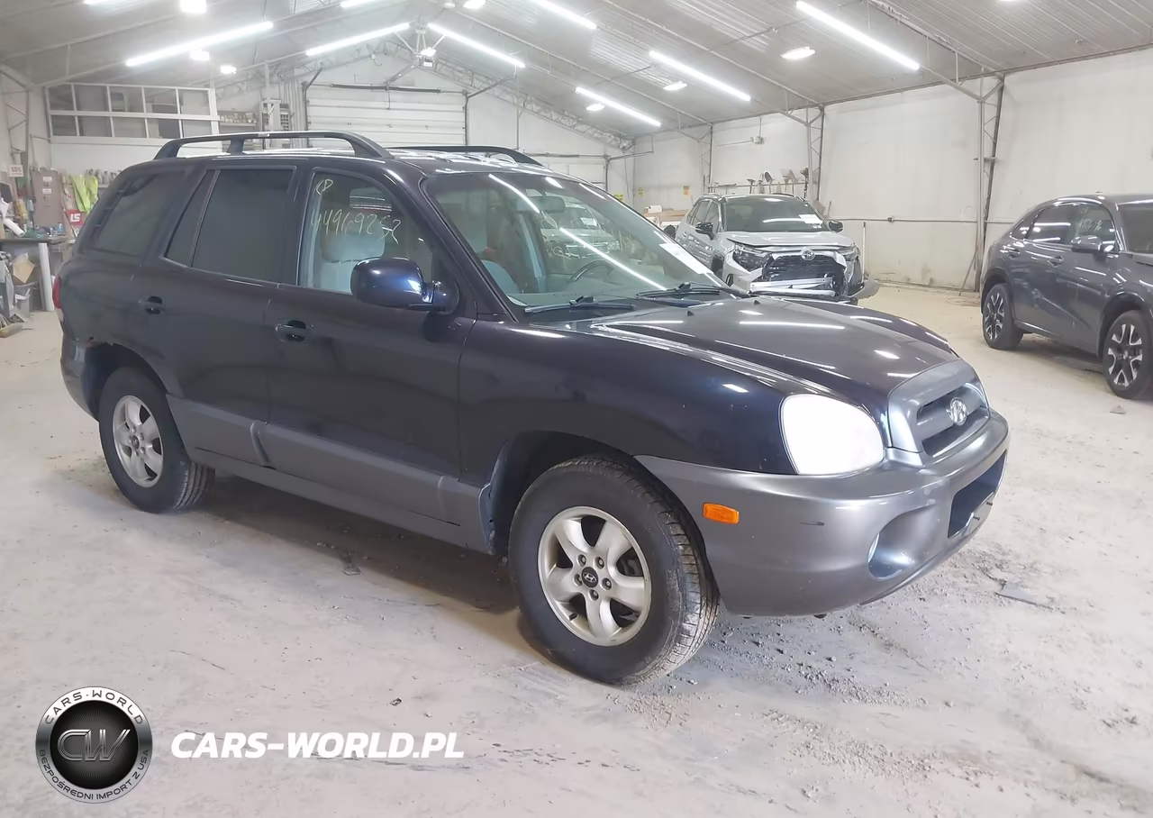 2005 Hyundai Santa Fe Gls