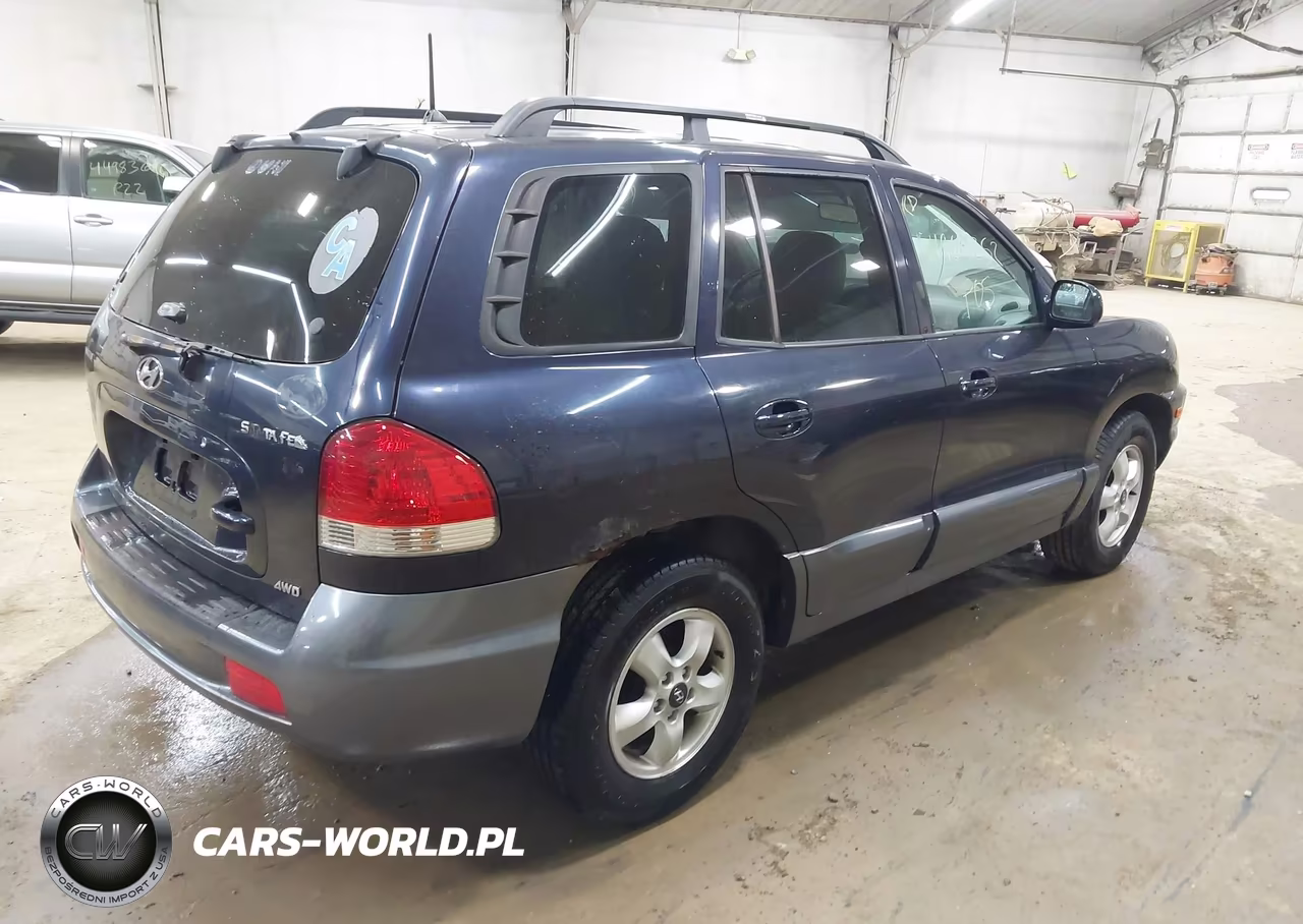 2005 Hyundai Santa Fe Gls VIN:KM8SC73D25U987171 - 4