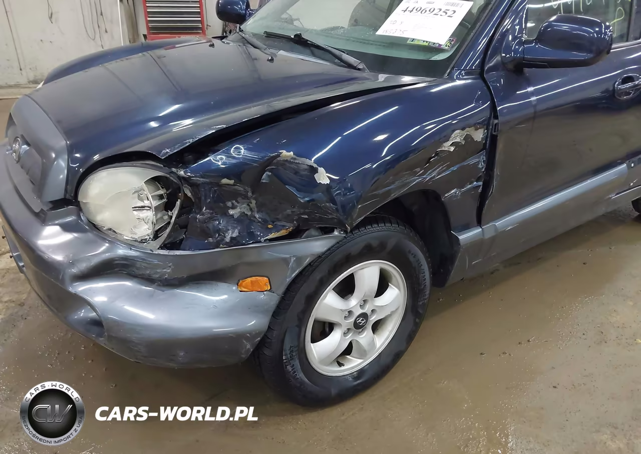 2005 Hyundai Santa Fe Gls VIN:KM8SC73D25U987171 - 6