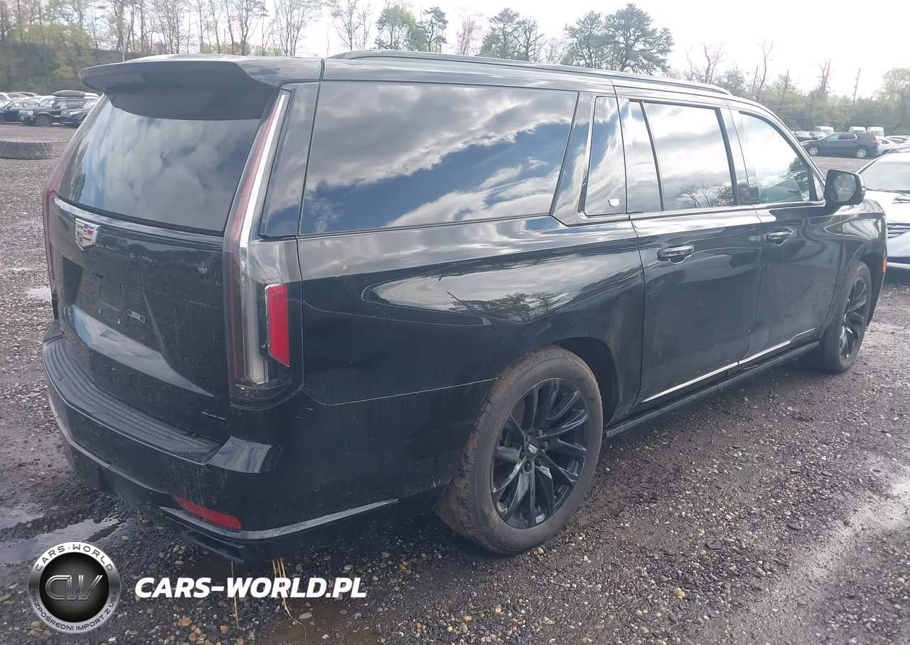 2022 Cadillac Escalade Esv 4Wd Sport VIN:1GYS4PKL0NR142262 - 4