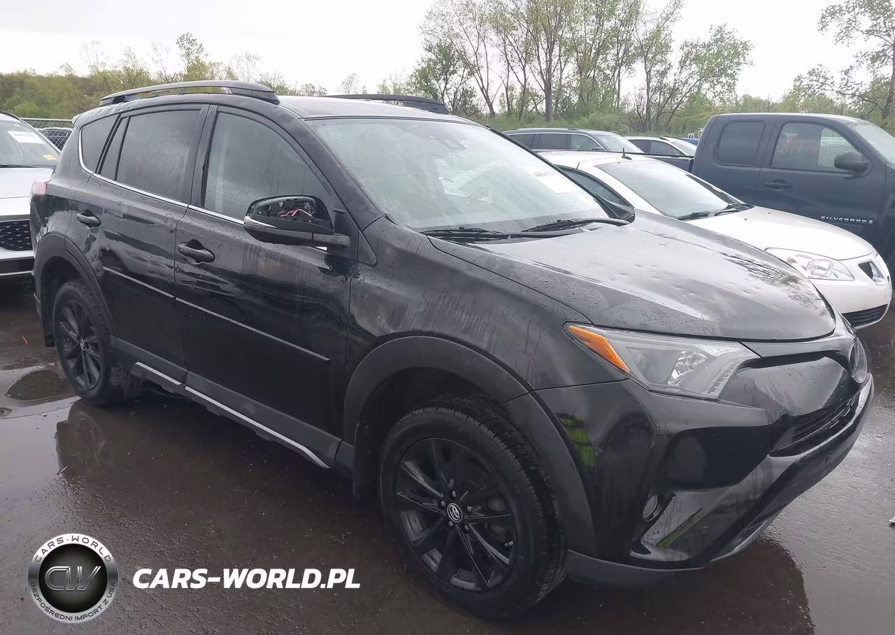 2018 Toyota Rav4 Adventure