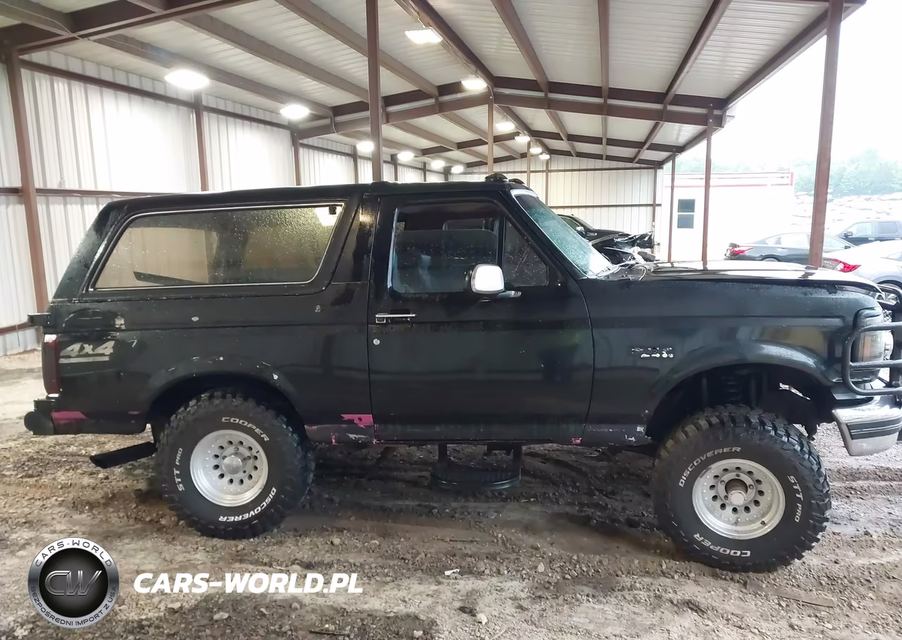 1993 Ford Bronco U100 VIN:1FMEU15N6PLA34761 - 13