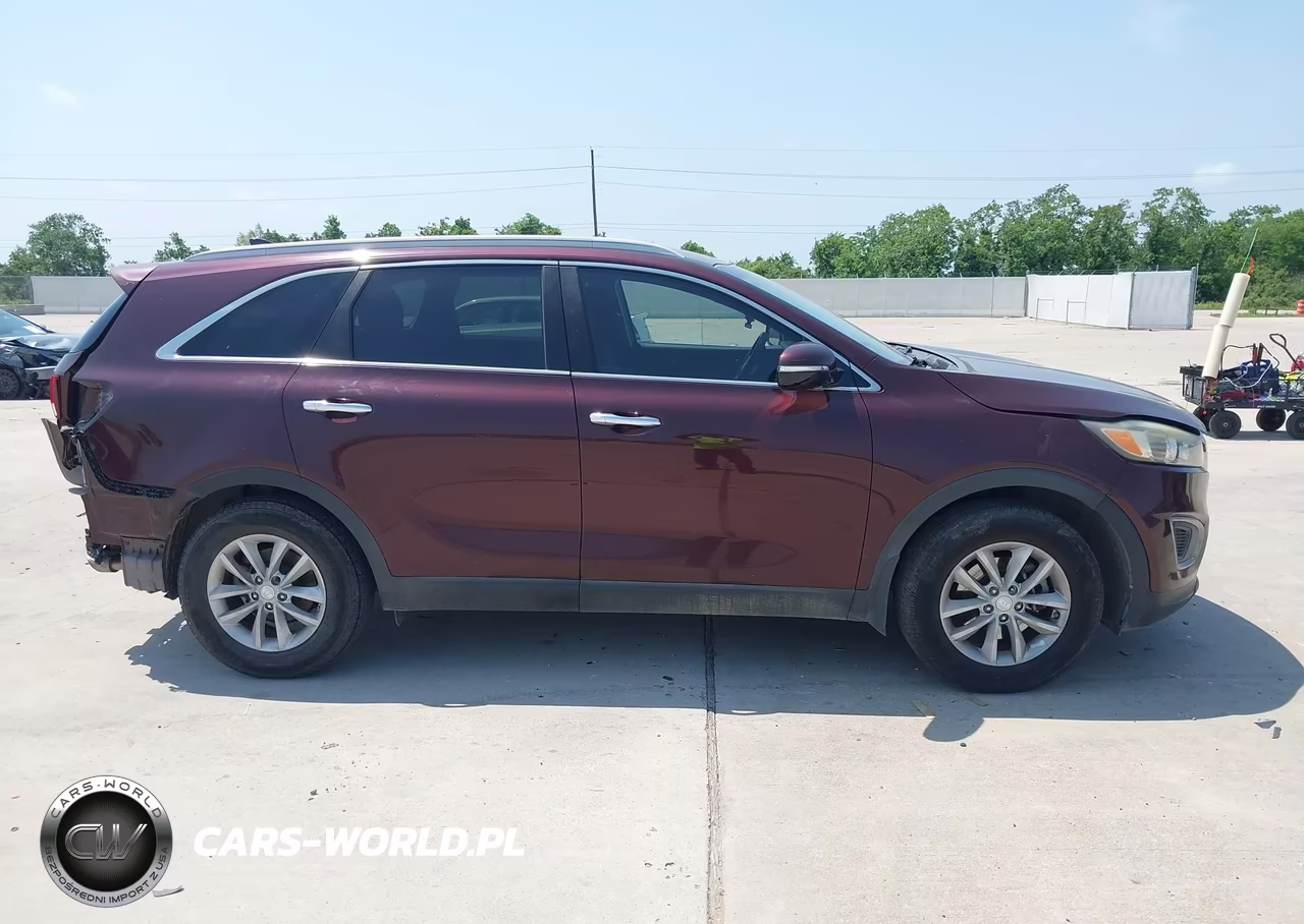 2017 Kia Sorento 2.4L Lx VIN:5XYPG4A31HG271293 - 13