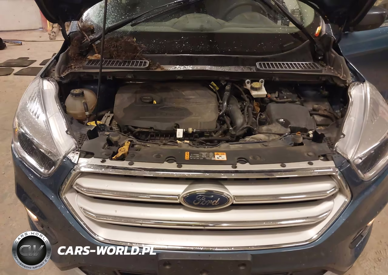 2018 Ford Escape Se VIN:1FMCU0GD7JUC51162 - 10
