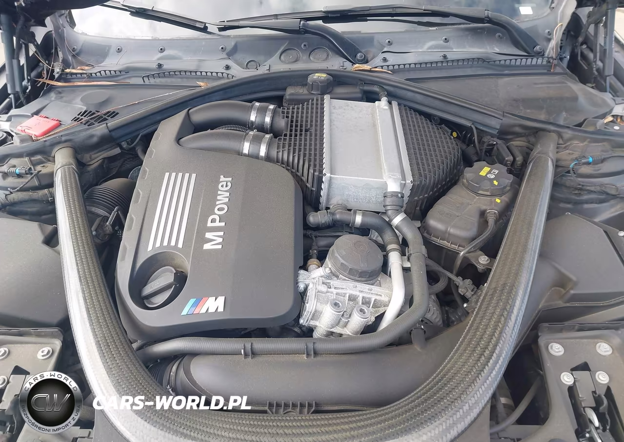 2015 BMW M4 VIN:WBS3U9C56FP968383 - 10