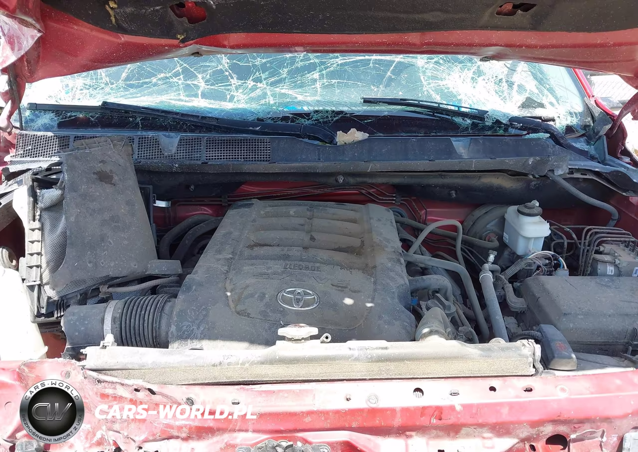 2019 Toyota Tundra Platinum 5.7L V8 VIN:5TFAY5F10KX869511 - 10