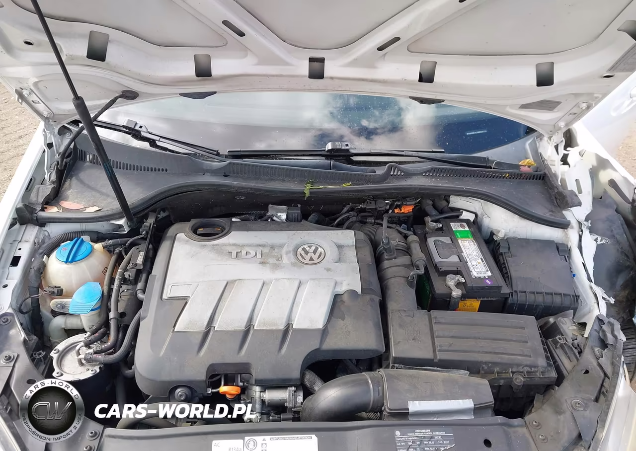2011 Volkswagen Golf Tdi 4-Door VIN:WVWNM7AJ3BW290180 - 10