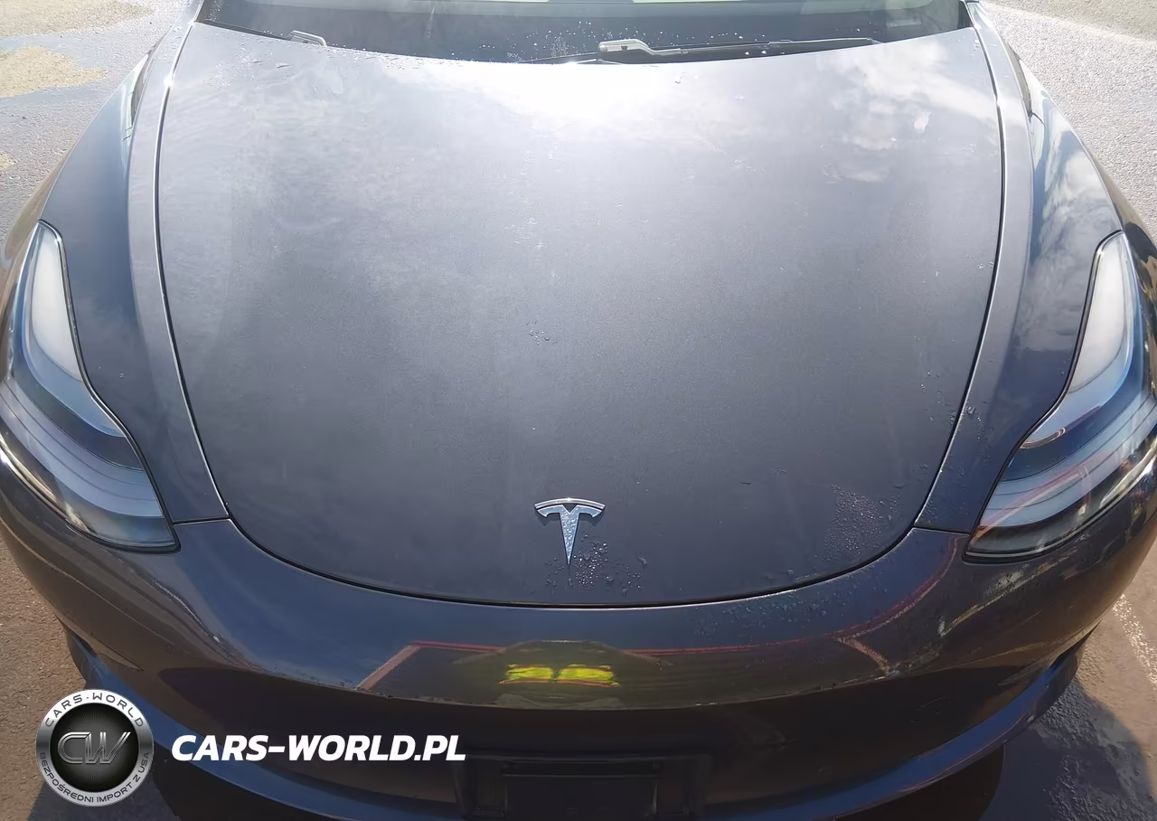 2021 Tesla Model 3 Standard Range Plus Rear-Wheel Drive VIN:5YJ3E1EAXMF982066 - 10