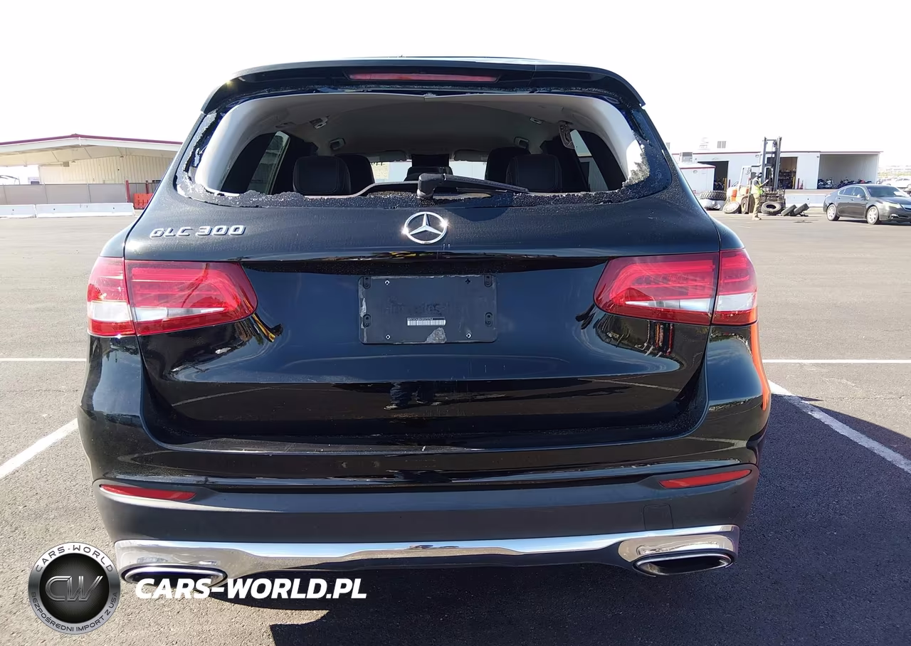 2016 Mercedes-Benz Glc 300 VIN:WDC0G4JBXGF072764 - 16