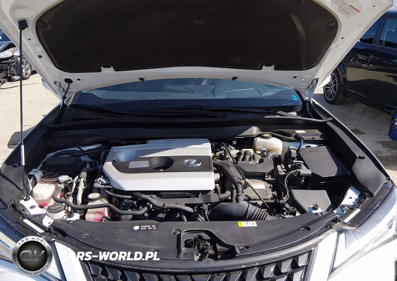 2021 Lexus Ux 250H VIN:JTHP9JBH4M2042077 - 10