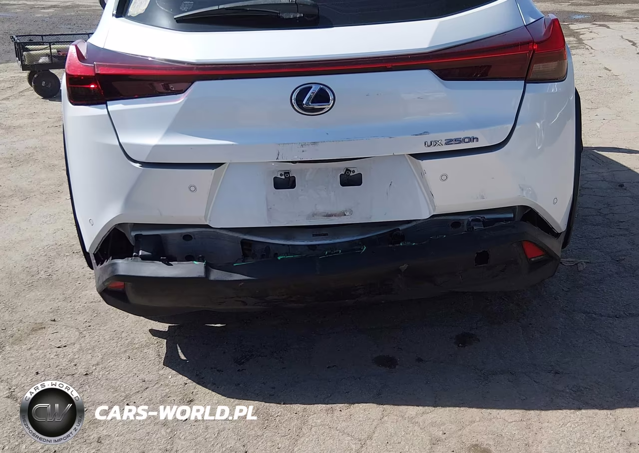2021 Lexus Ux 250H VIN:JTHP9JBH4M2042077 - 6