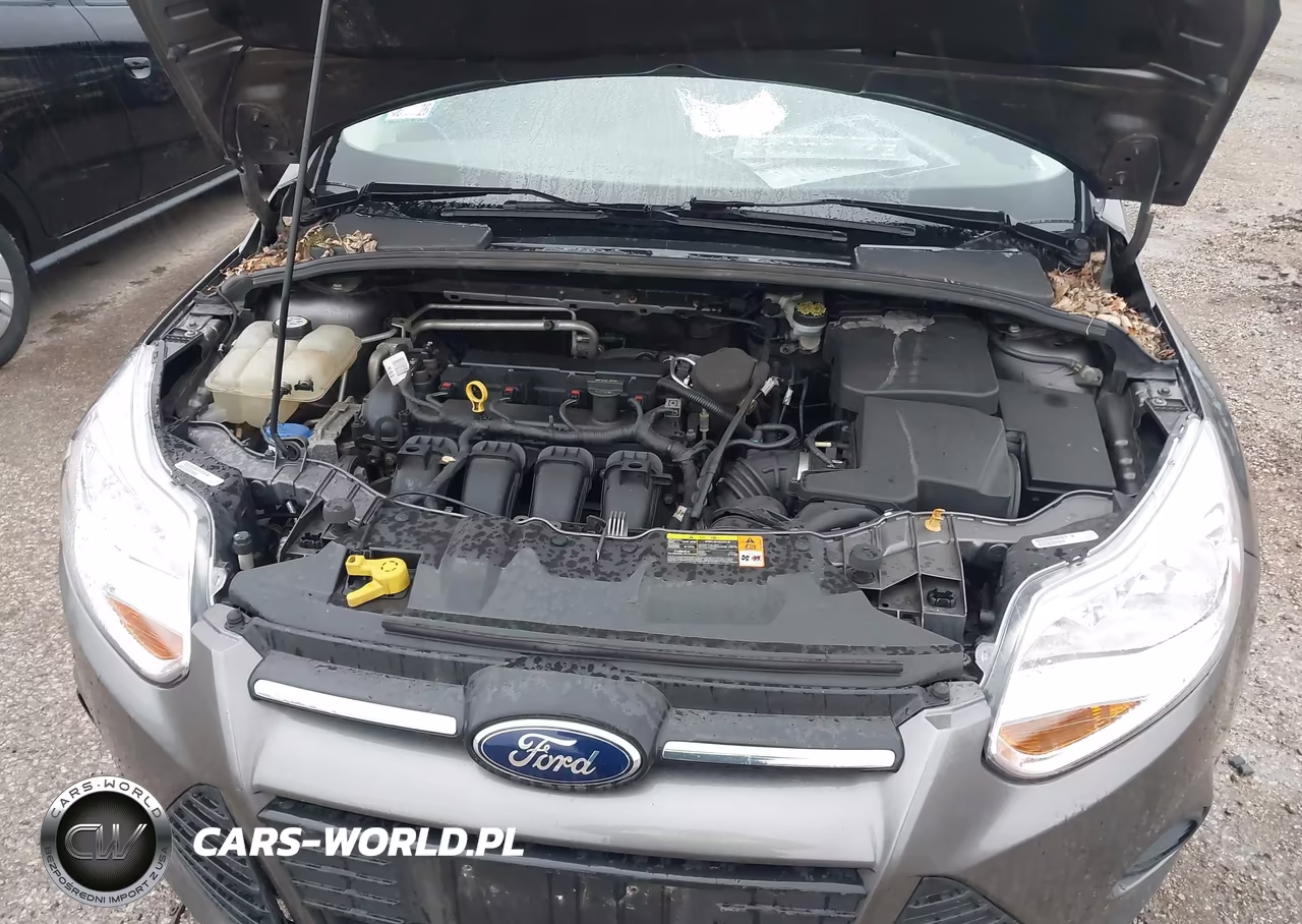 2013 Ford Focus Se VIN:1FADP3K25DL162519 - 10