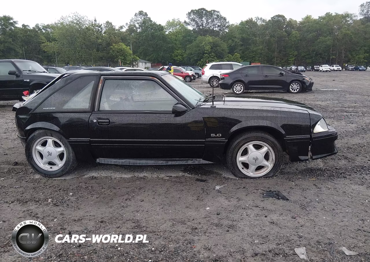 1991 Ford Mustang Gt-Cobra Gt VIN:1FACP42EXMF114783 - 13