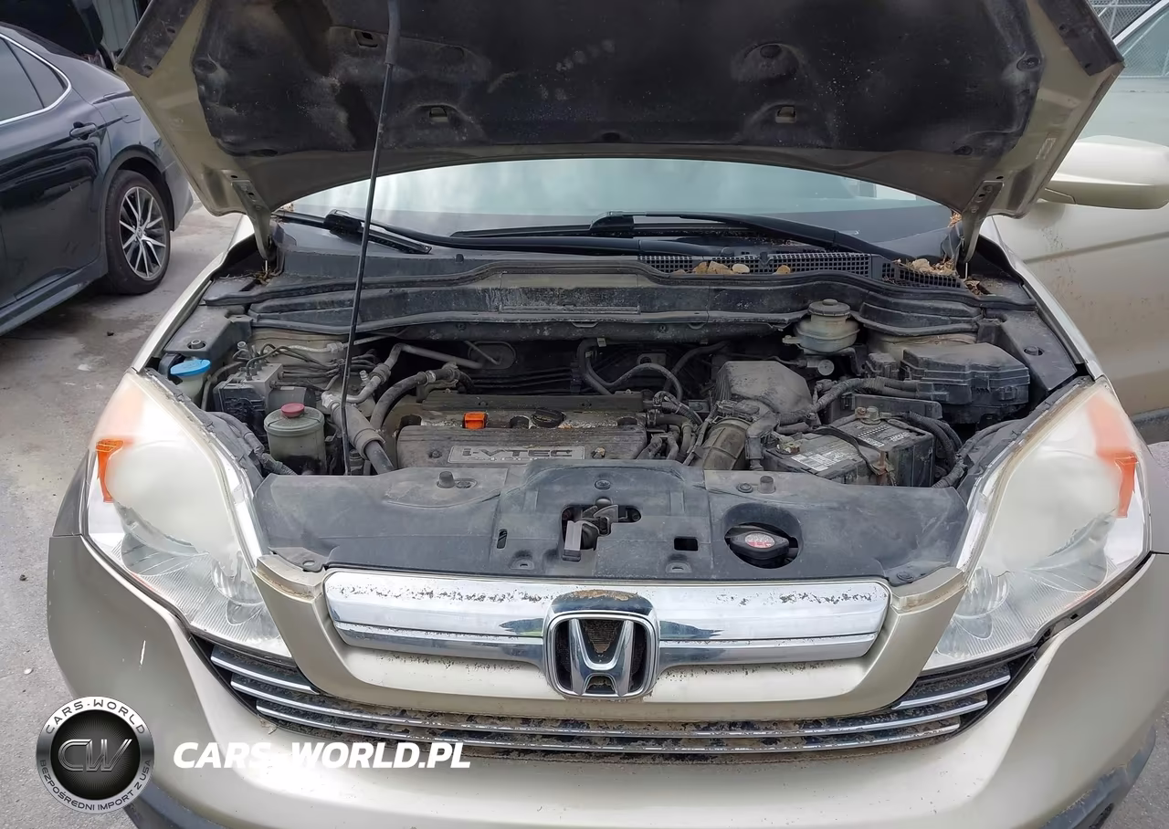 2007 Honda Cr-V Ex-L VIN:JHLRE48727C085744 - 10
