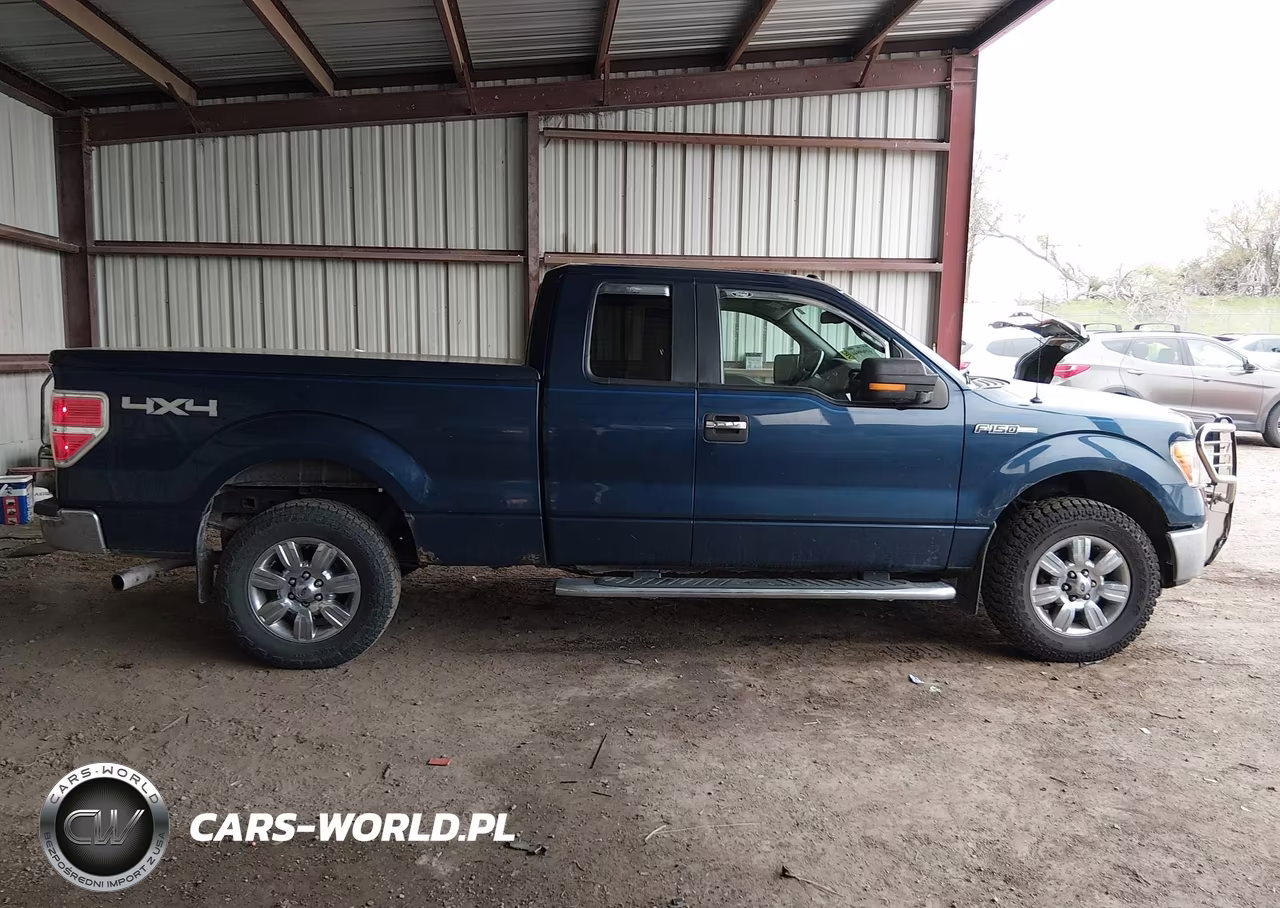 2010 Ford F-150 Xlt VIN:1FTFX1EV9AFD53724 - 13