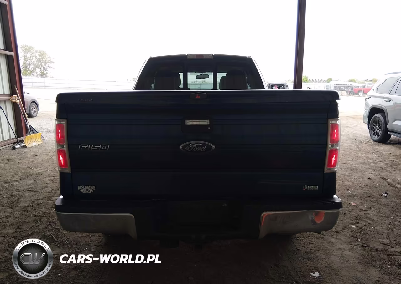2010 Ford F-150 Xlt VIN:1FTFX1EV9AFD53724 - 16