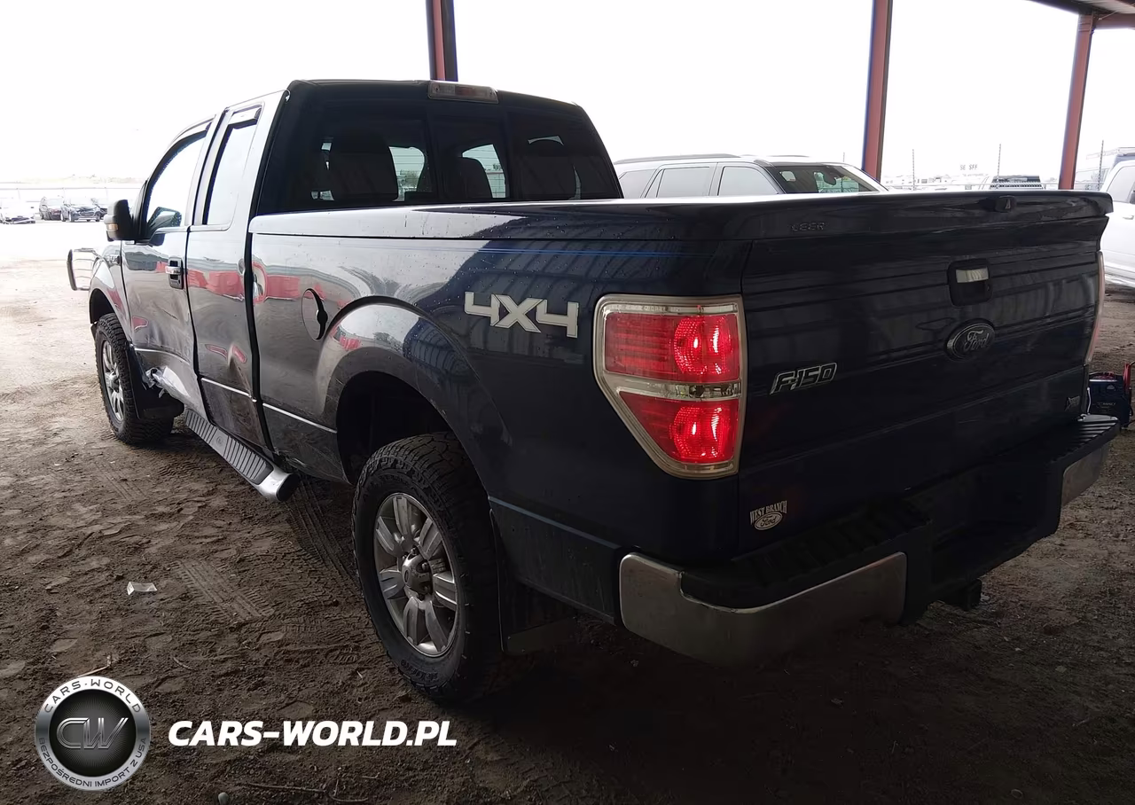 2010 Ford F-150 Xlt VIN:1FTFX1EV9AFD53724 - 3