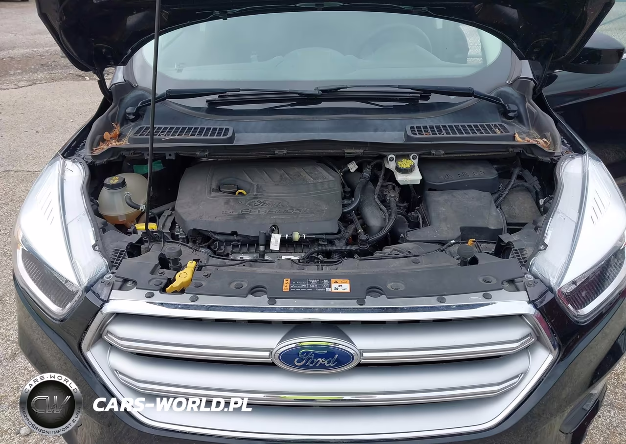 2017 Ford Escape Se VIN:1FMCU0GD0HUB21685 - 10