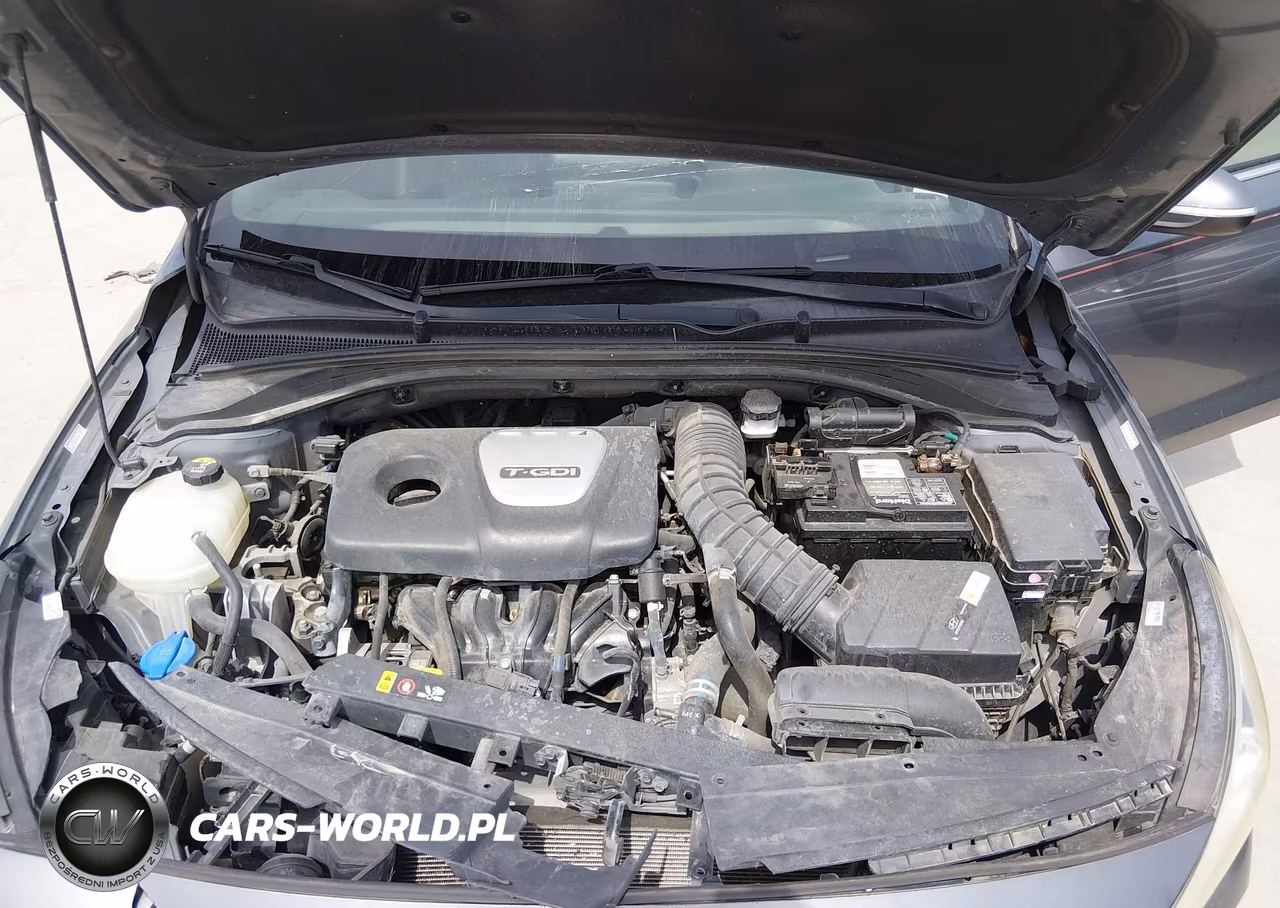 2018 Hyundai Elantra Gt Sport VIN:KMHH55LC9JU017165 - 10