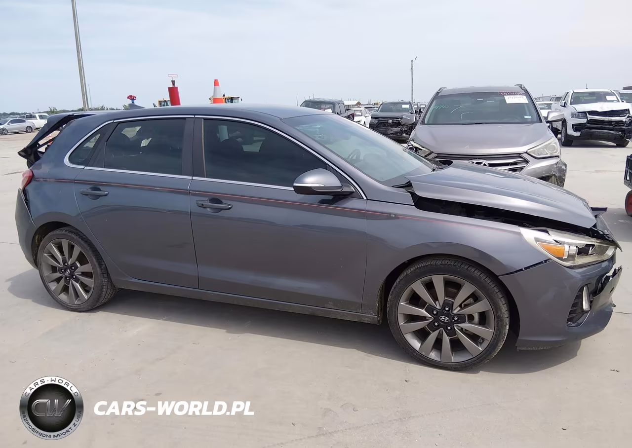2018 Hyundai Elantra Gt Sport VIN:KMHH55LC9JU017165 - 14