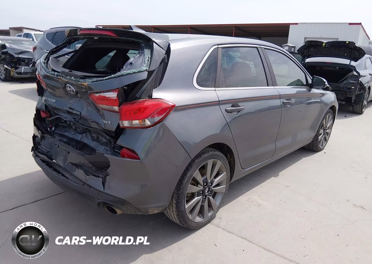 2018 Hyundai Elantra Gt Sport VIN:KMHH55LC9JU017165 - 4