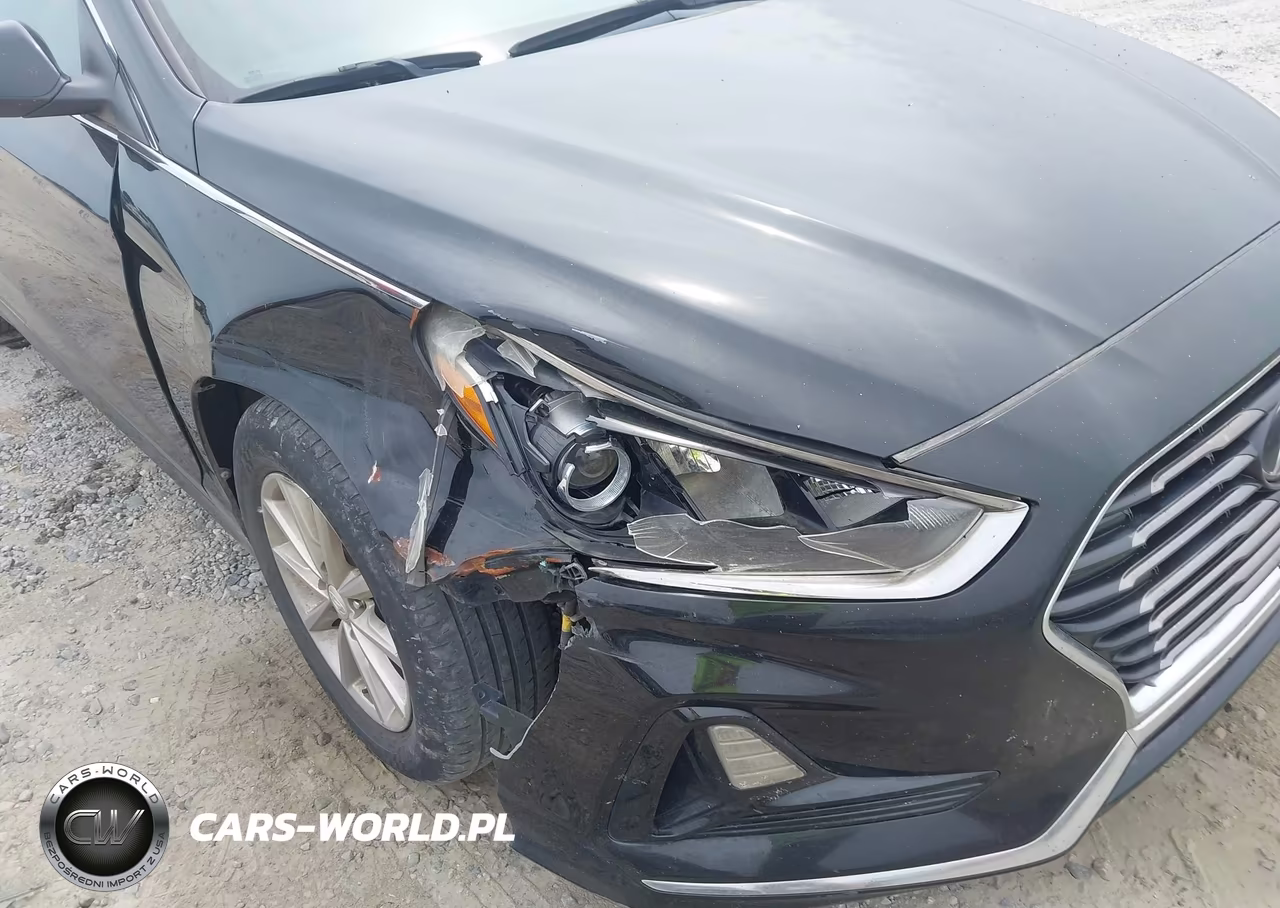 2019 Hyundai Sonata Se VIN:5NPE24AF5KH817108 - 12