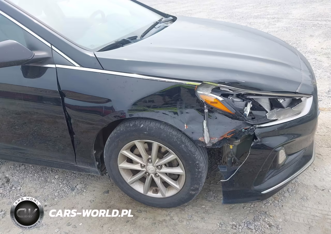 2019 Hyundai Sonata Se VIN:5NPE24AF5KH817108 - 13