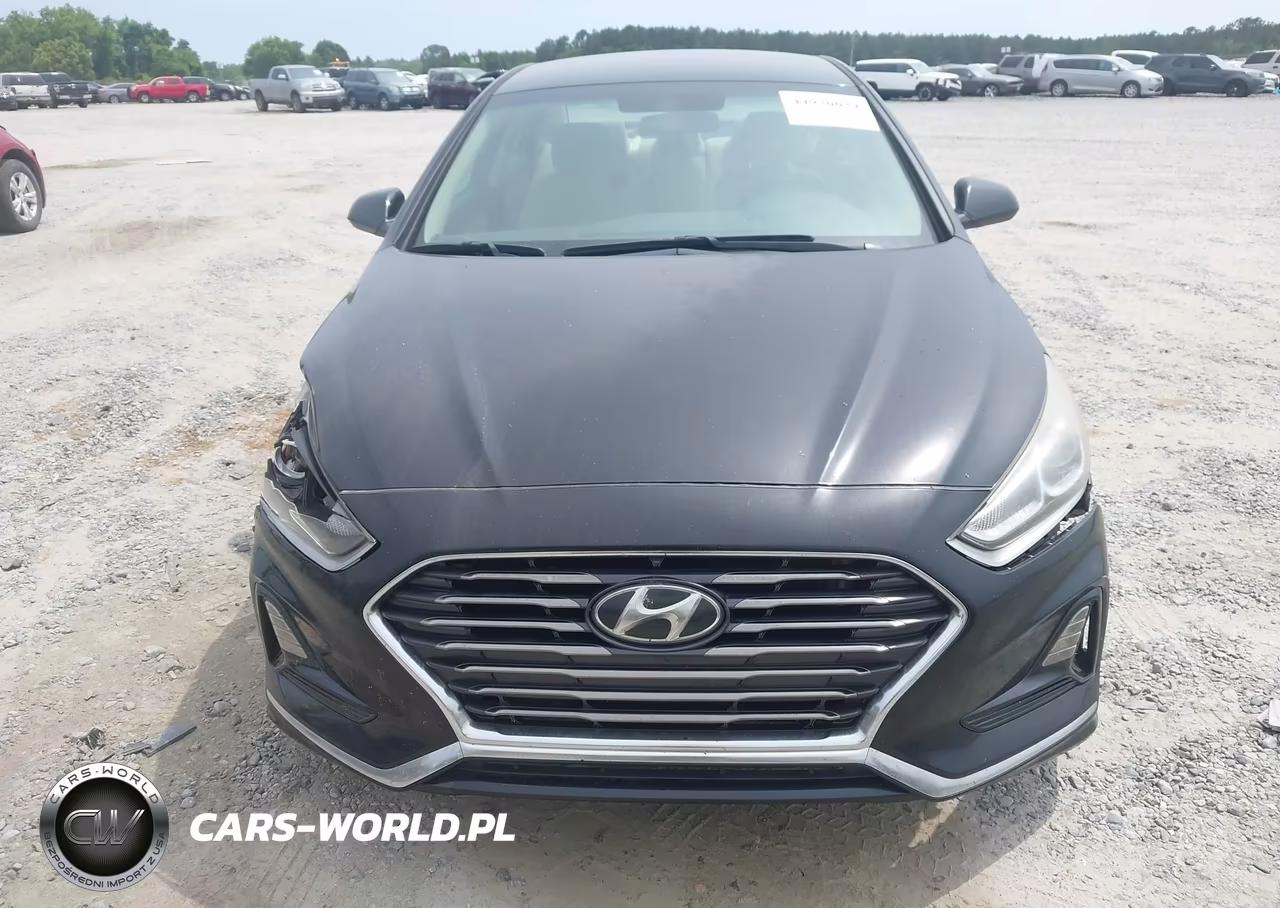 2019 Hyundai Sonata Se VIN:5NPE24AF5KH817108 - 16