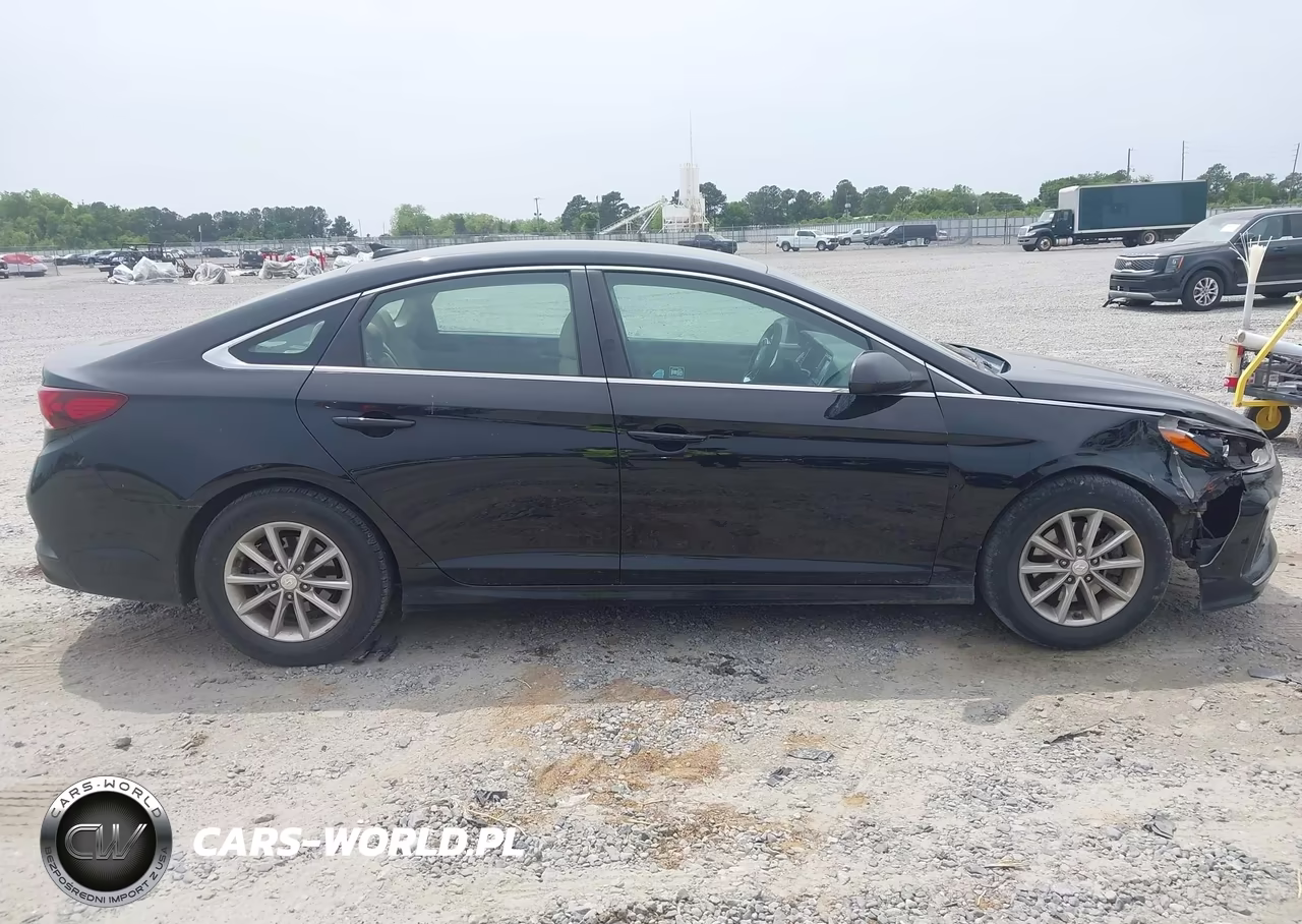 2019 Hyundai Sonata Se VIN:5NPE24AF5KH817108 - 17