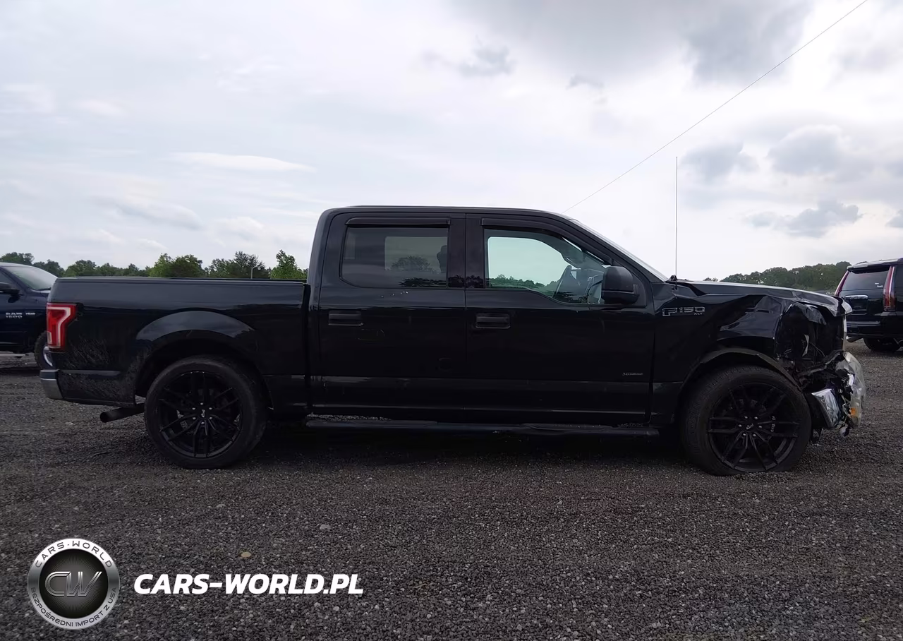 2015 Ford F-150 Xlt VIN:1FTEW1CP8FFC68237 - 13