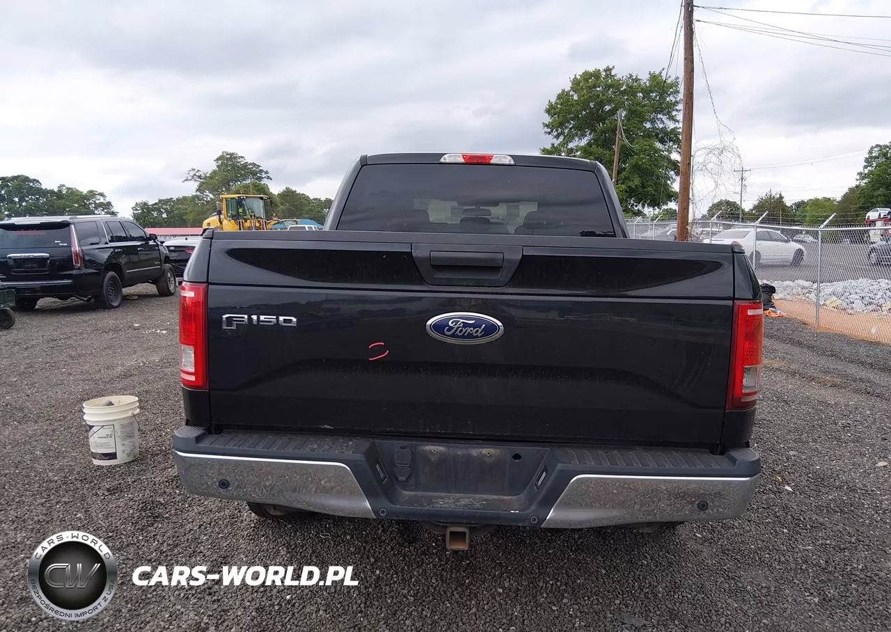 2015 Ford F-150 Xlt VIN:1FTEW1CP8FFC68237 - 16