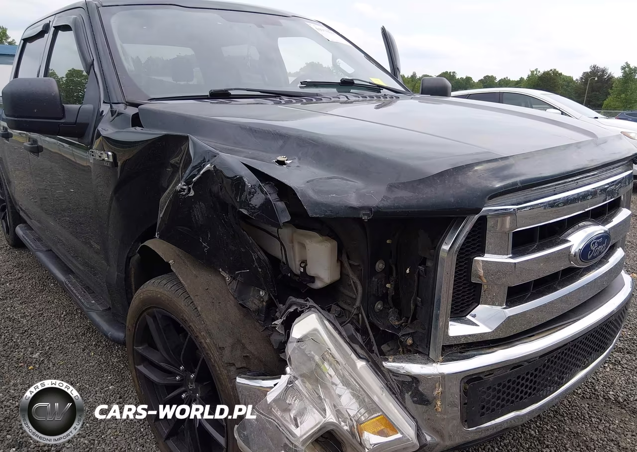 2015 Ford F-150 Xlt VIN:1FTEW1CP8FFC68237 - 6