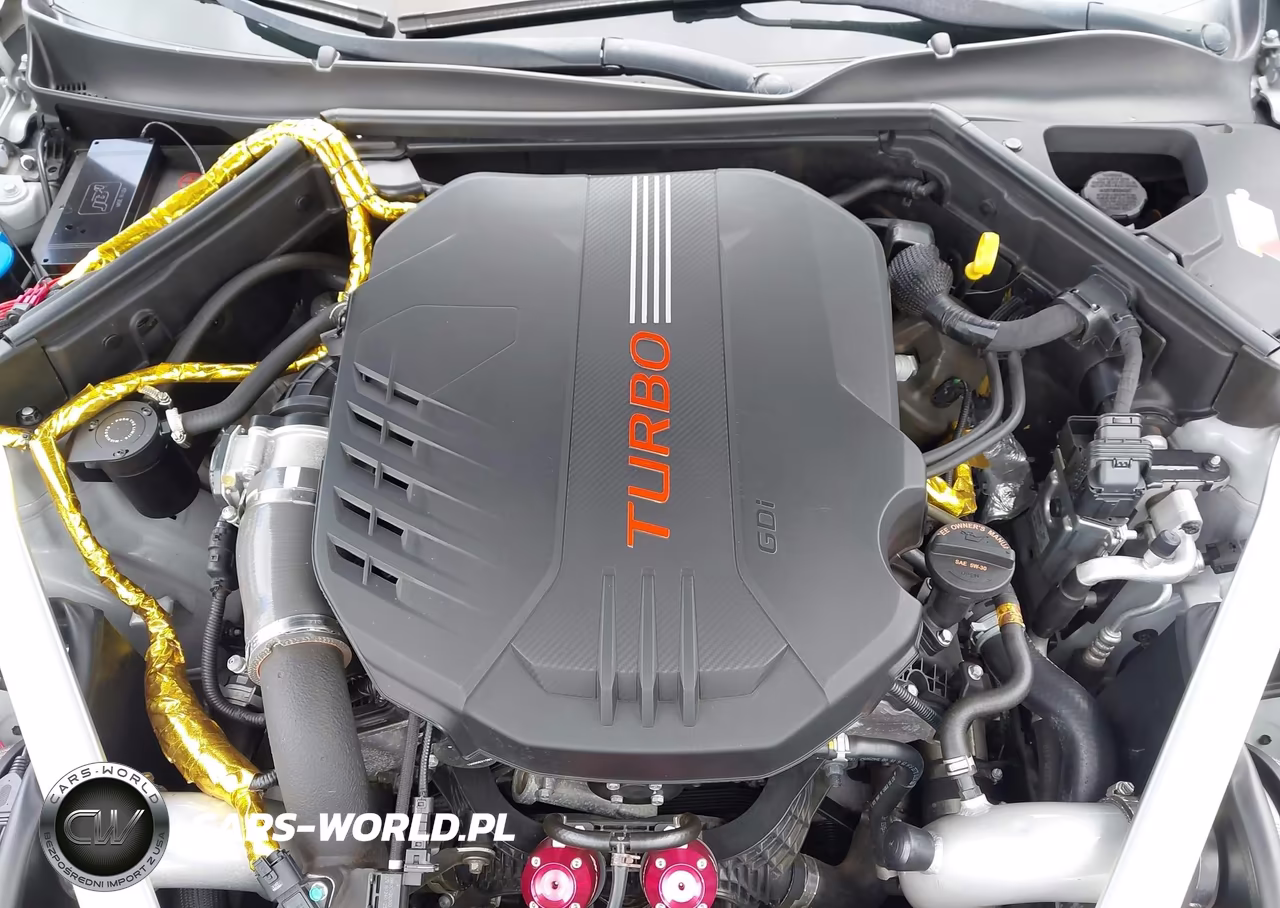 2020 Kia Stinger Gt1 VIN:KNAE45LC3L6076209 - 10