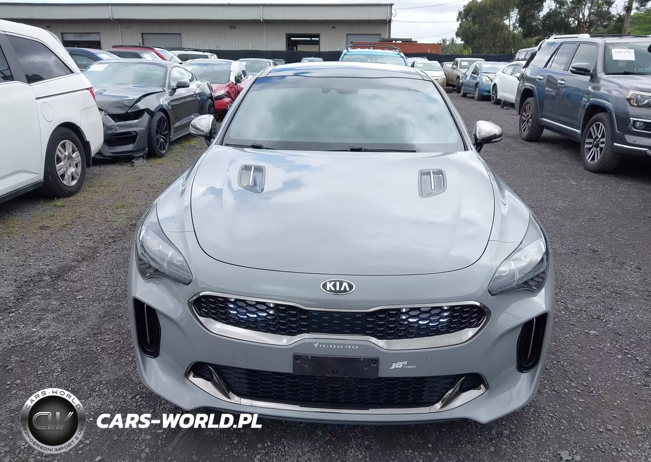 2020 Kia Stinger Gt1 VIN:KNAE45LC3L6076209 - 12