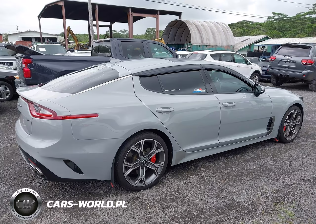 2020 Kia Stinger Gt1 VIN:KNAE45LC3L6076209 - 13