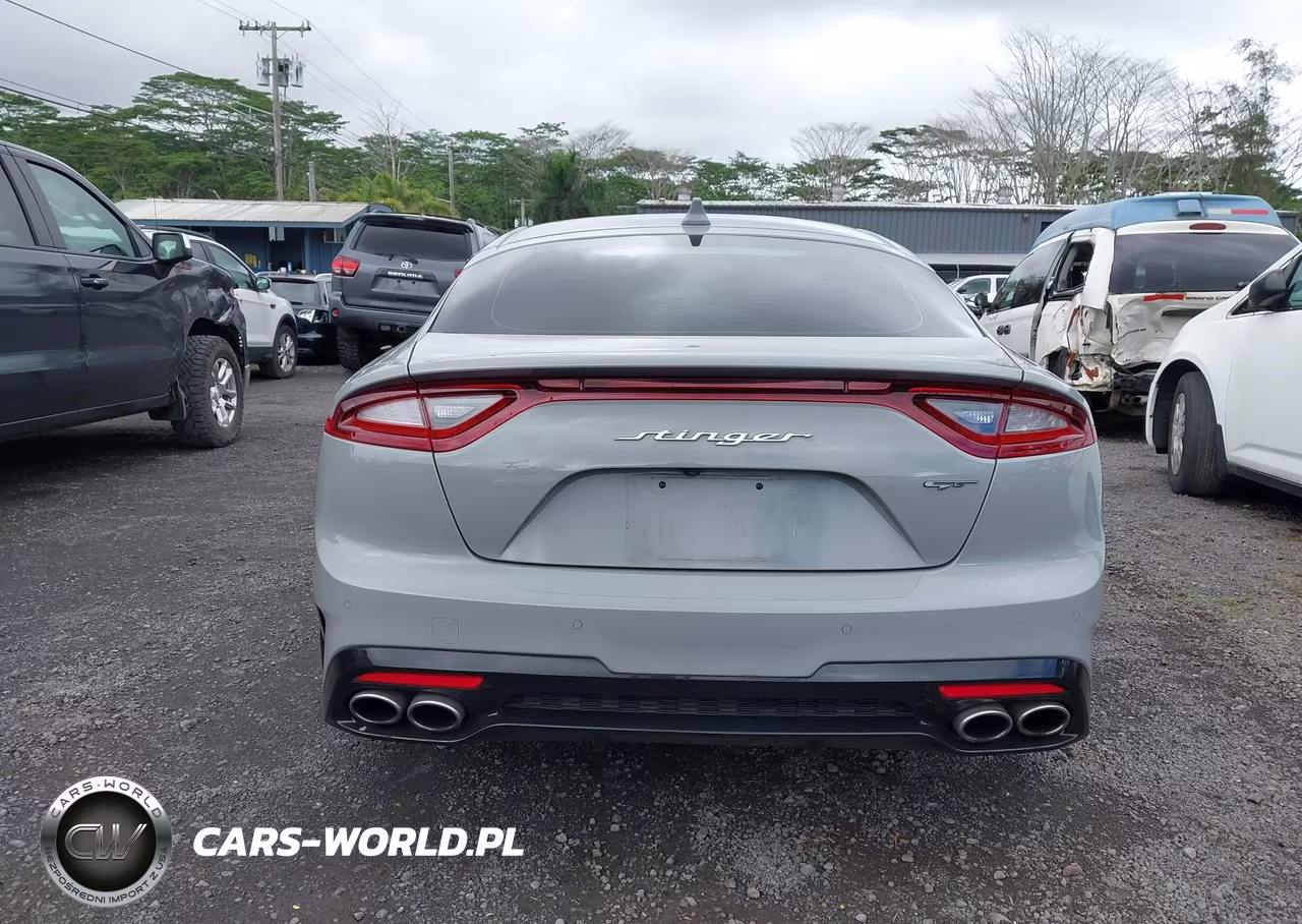 2020 Kia Stinger Gt1 VIN:KNAE45LC3L6076209 - 16