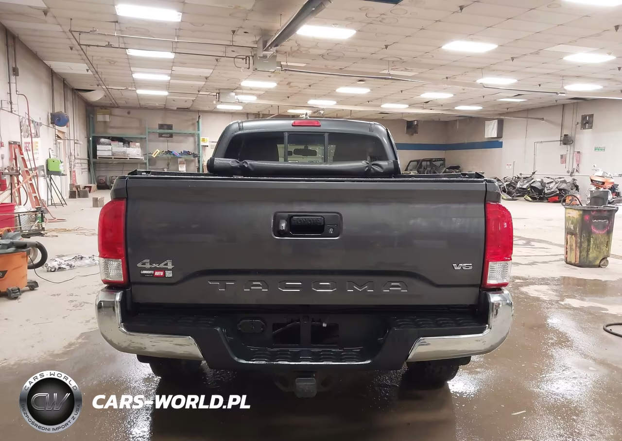 2016 Toyota Tacoma Sr5 V6 VIN:5TFSZ5AN7GX019118 - 17
