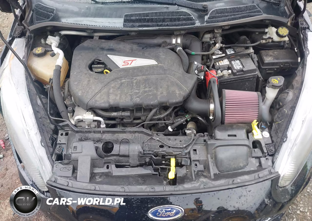 2019 Ford Fiesta St VIN:3FADP4GX7KM119838 - 10