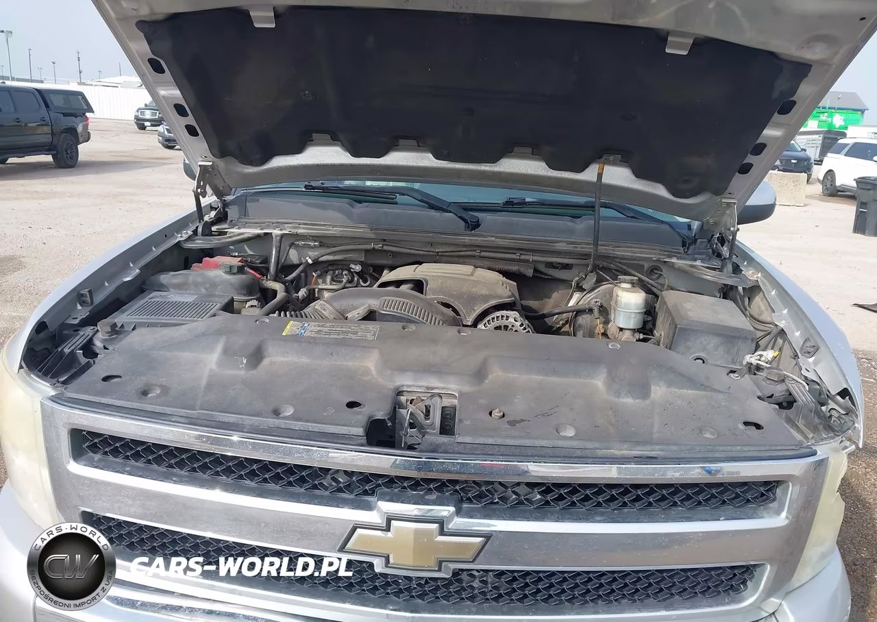2010 Chevrolet Silverado 1500 Lt VIN:3GCRCSE0XAG193726 - 10