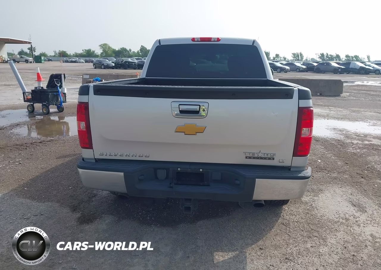 2010 Chevrolet Silverado 1500 Lt VIN:3GCRCSE0XAG193726 - 16