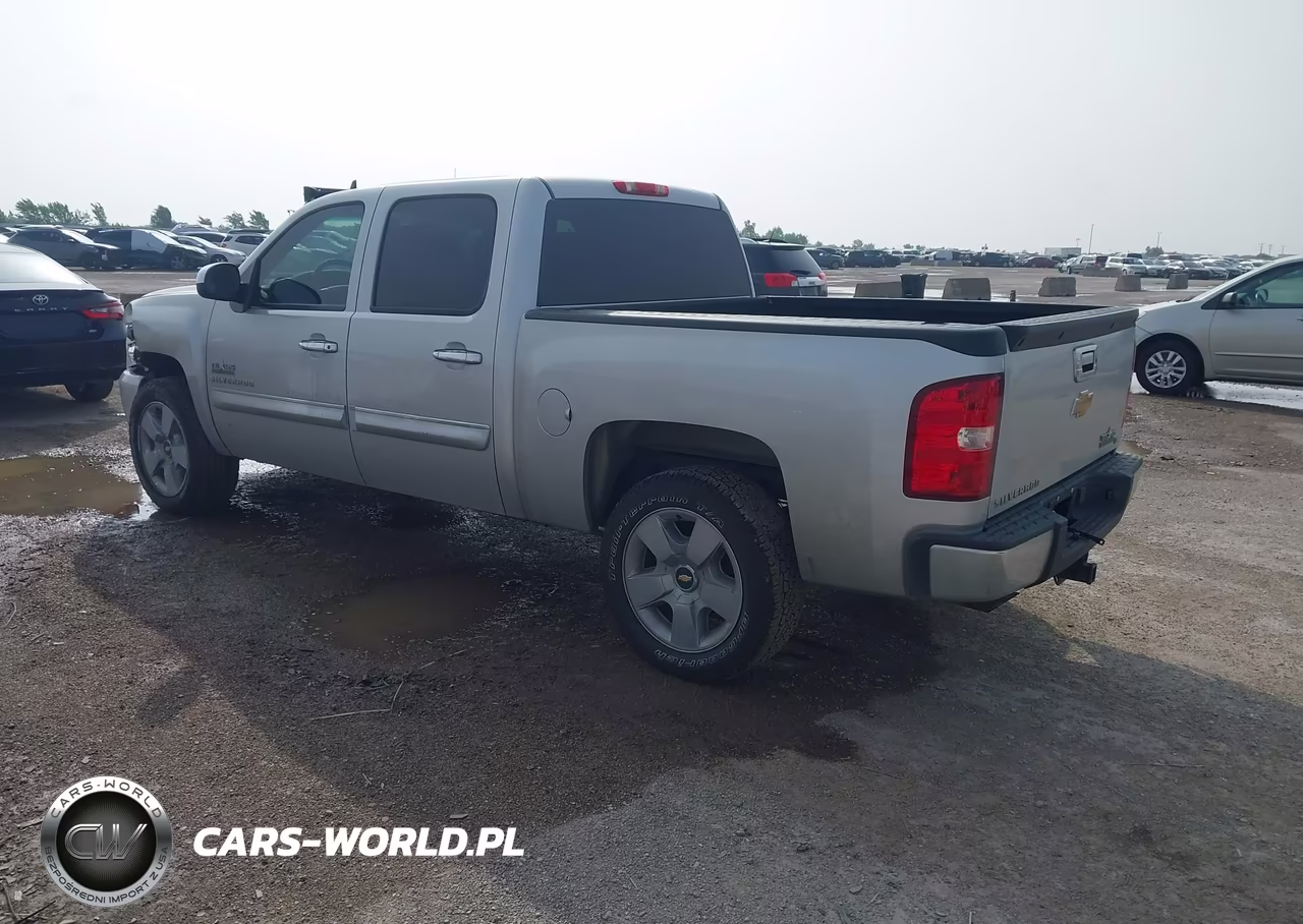 2010 Chevrolet Silverado 1500 Lt VIN:3GCRCSE0XAG193726 - 3