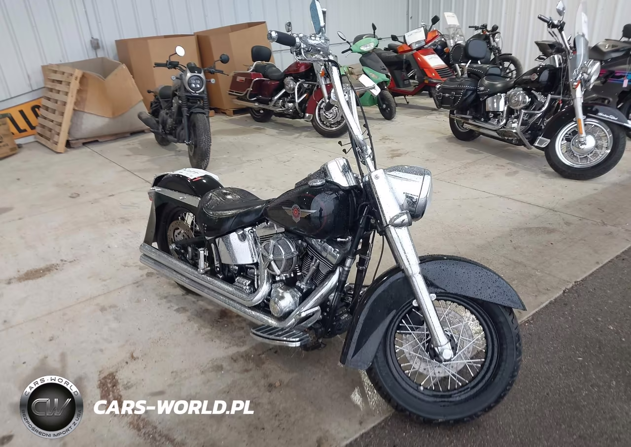 2001 Harley-Davidson Flstf – zdjęcie 1 z 16