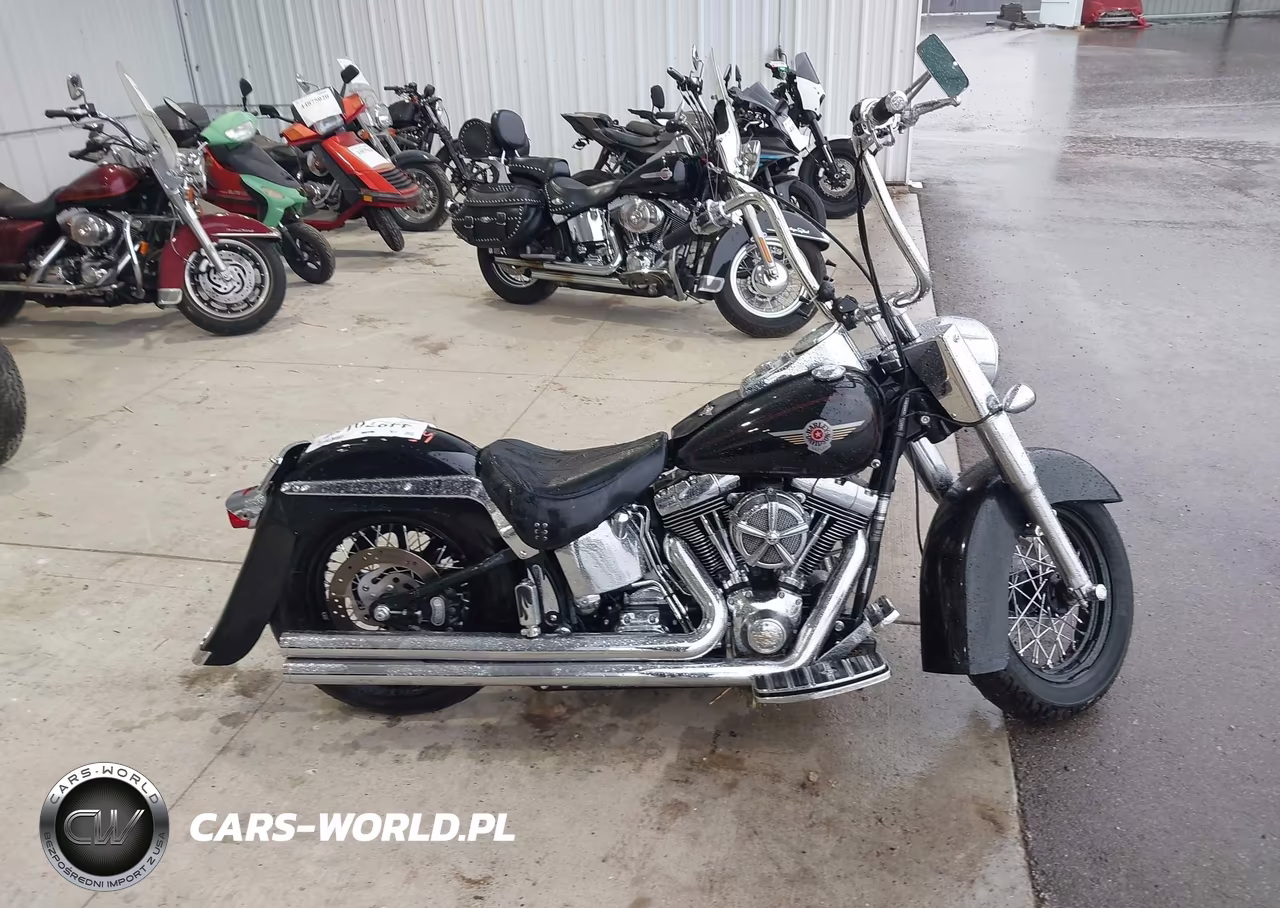 2001 Harley-Davidson Flstf VIN:1HD1BMY171Y042539 - 11