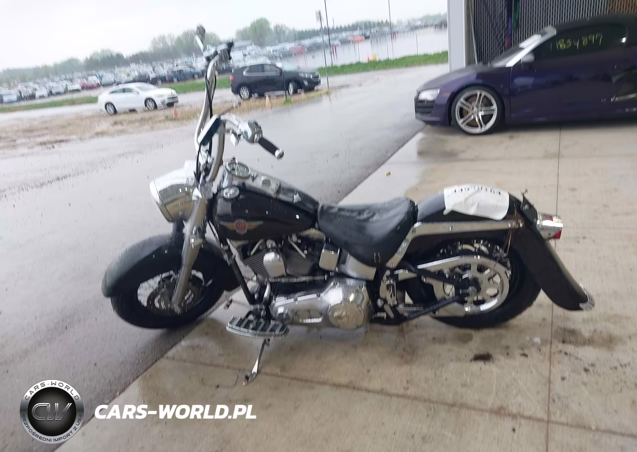 2001 Harley-Davidson Flstf VIN:1HD1BMY171Y042539 - 12