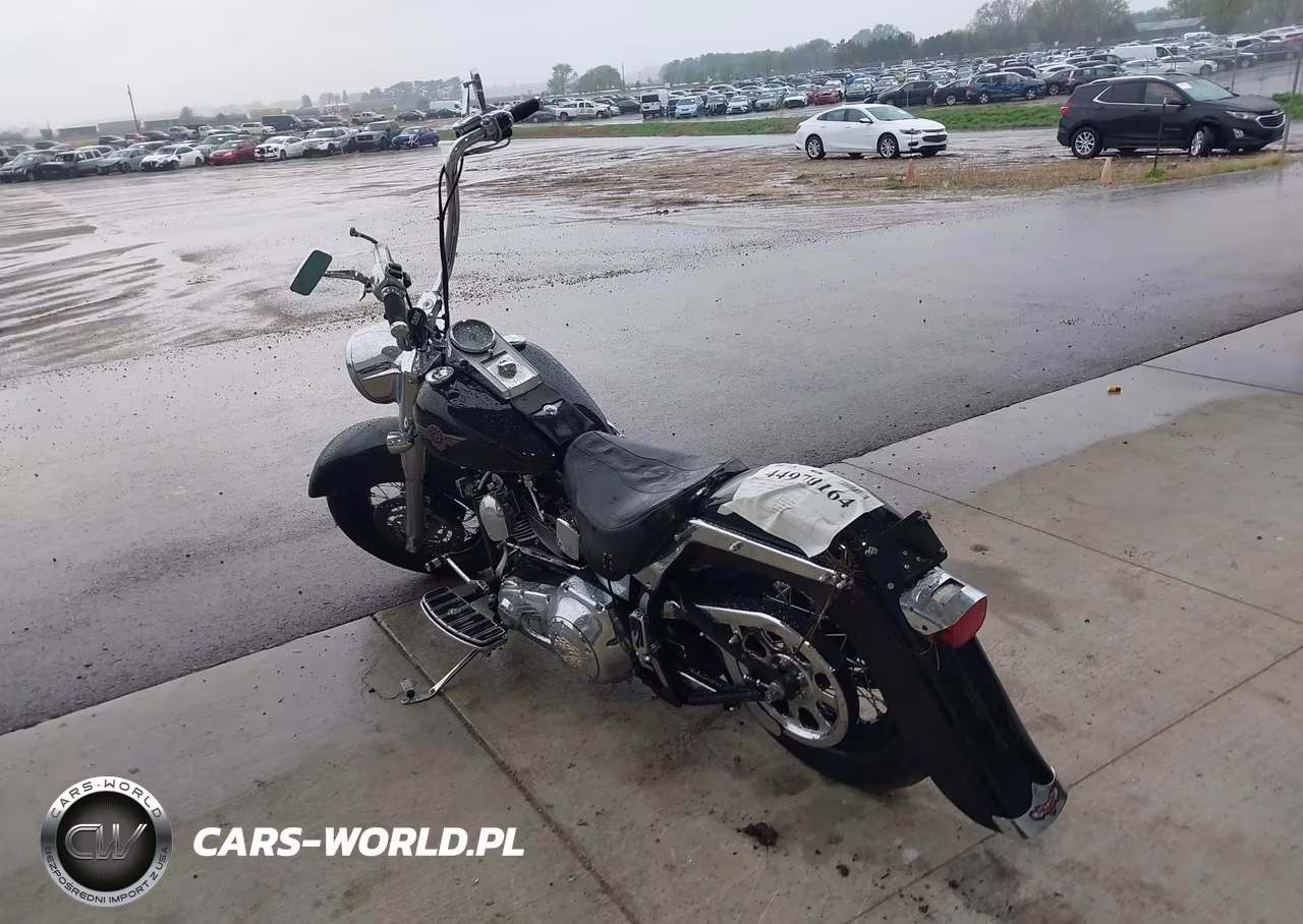2001 Harley-Davidson Flstf VIN:1HD1BMY171Y042539 - 3