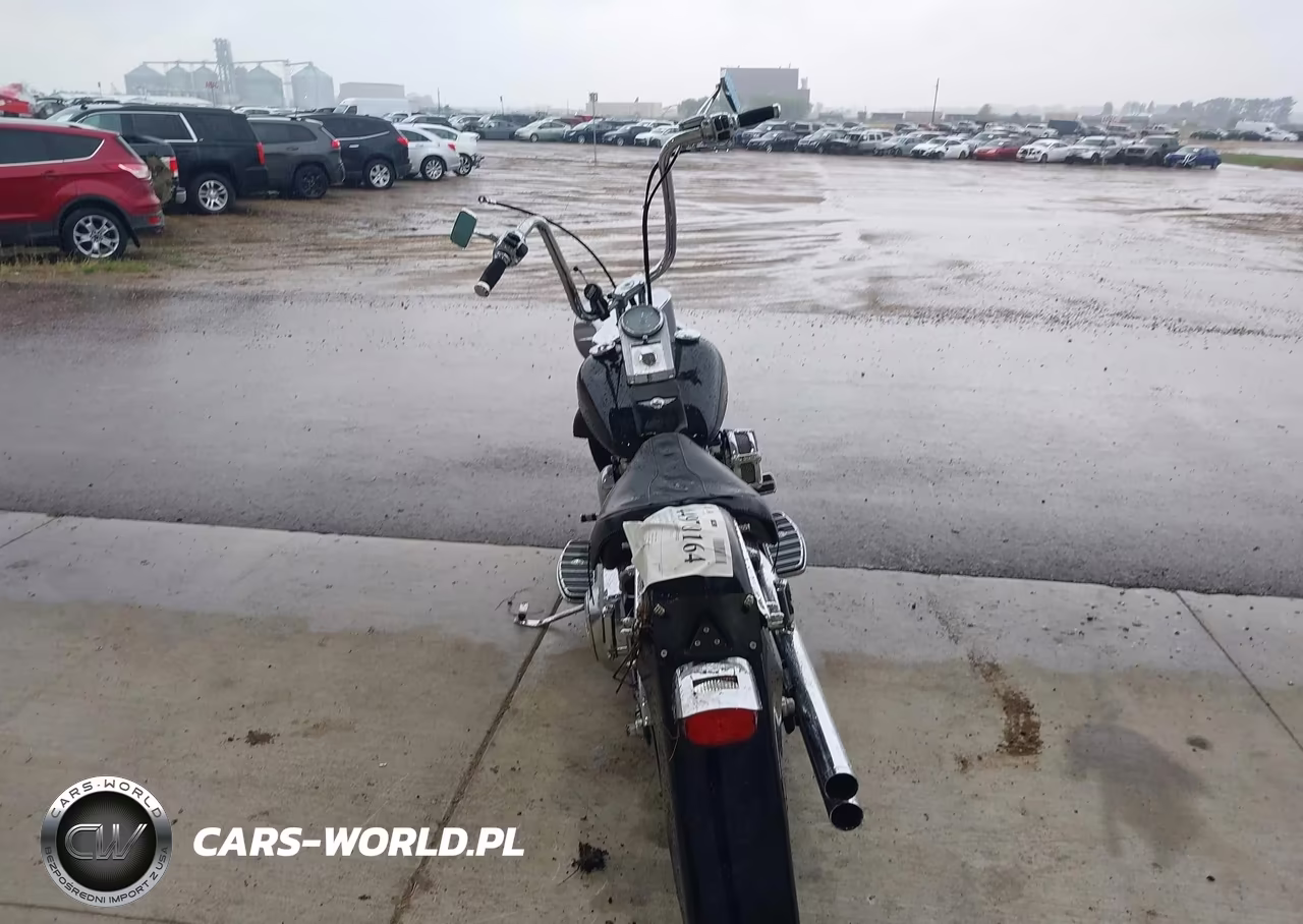 2001 Harley-Davidson Flstf VIN:1HD1BMY171Y042539 - 6